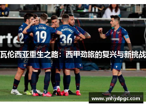 瓦伦西亚重生之路：西甲劲旅的复兴与新挑战