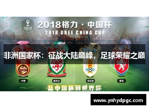 非洲国家杯：征战大陆巅峰，足球荣耀之巅