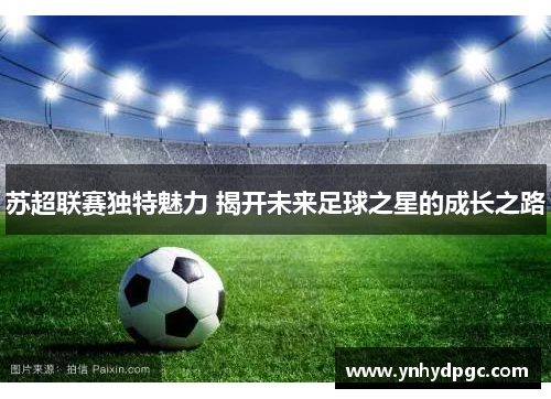 苏超联赛独特魅力 揭开未来足球之星的成长之路