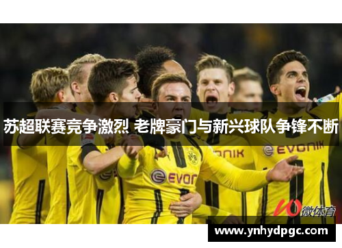 苏超联赛竞争激烈 老牌豪门与新兴球队争锋不断